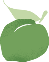 青梅.png