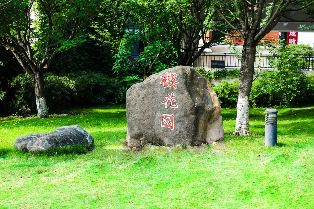 微信图片_20241111102744.jpg