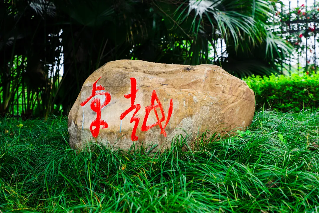 卓越.jpg